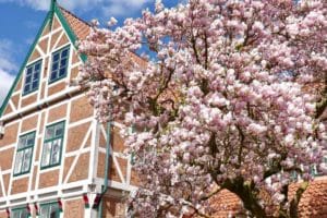 Strompreise im April 2017 | Foto: 163 Grad