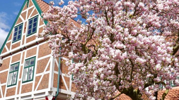 Strompreise im April 2017 | Foto: 163 Grad